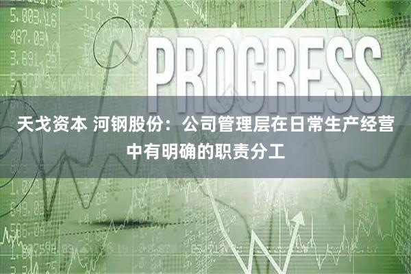 天戈资本 河钢股份：公司管理层在日常生产经营中有明确的职责分工