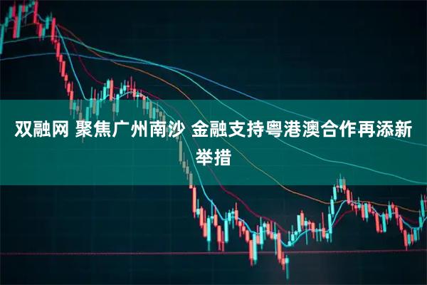 双融网 聚焦广州南沙 金融支持粤港澳合作再添新举措