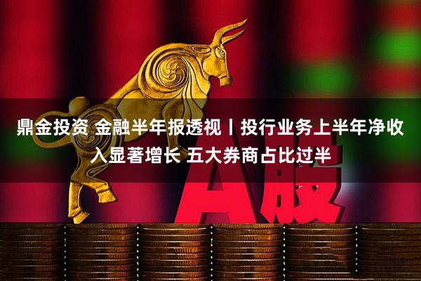 鼎金投资 金融半年报透视丨投行业务上半年净收入显著增长 五大券商占比过半