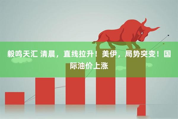 毅鸣天汇 清晨，直线拉升！美伊，局势突变！国际油价上涨